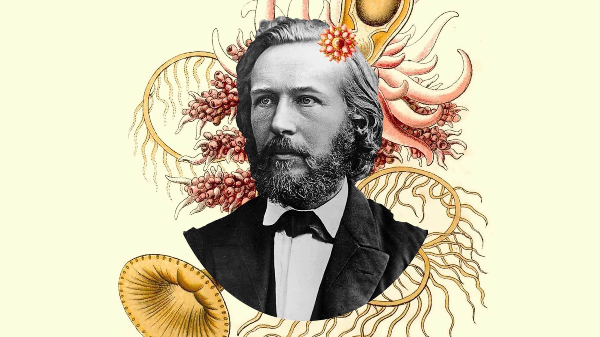 Ernst Haeckel font