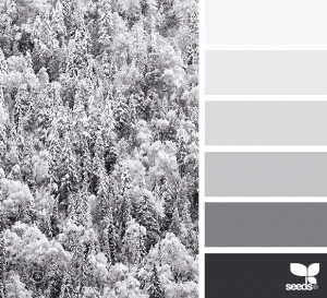 Winter Whites Palette Inspiration | Sessions College