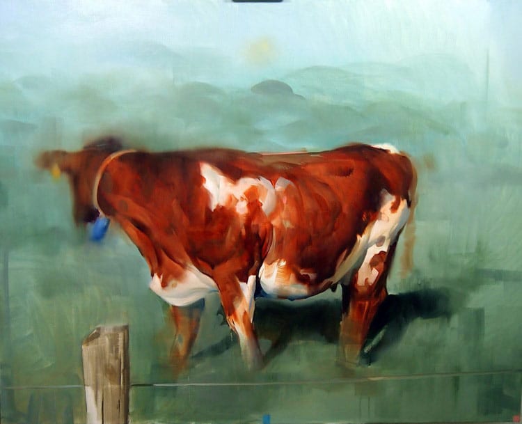 benjamin bjorklund cow portrait