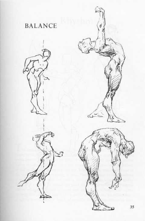 bridgman anatomy book