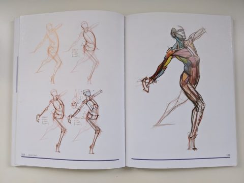 michael hampton anatomy book