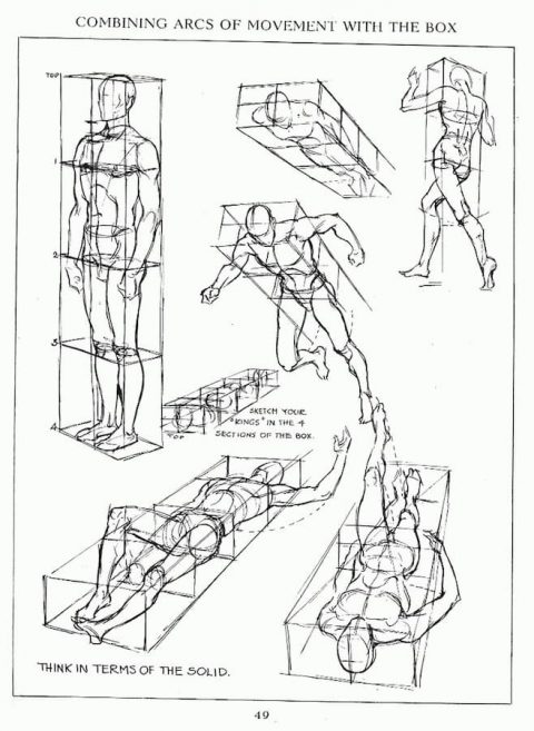 Approaching Anatomy: Loomis – Sessions College